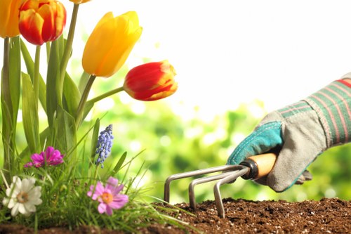 A close-up view of a gardener's hand wearing a striped gardening glove, using a small hand rake to loosen dark brown soil in a garden bed. To the left, there are vibrant tulips in shades of yellow and red, along with other flowering plants including small white and pink blooms and purple-blue flowers, creating a colourful and lively garden scene. The background is blurred with green foliage, indicating a sunny outdoor environment, suitable for garden maintenance and landscaping services in Dalston. The garden appears well-kept with a variety of plant types and healthy foliage, emphasizing a cultivated outdoor space ready for planting or other gardening works.